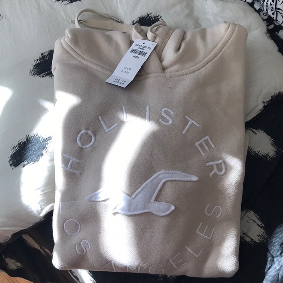 Hollister Tops - Hollister  sweatshirt NWT
